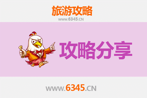 百色靖西旅游攻略：跟团与自由行深度对比